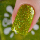 Лак для ногтей Color Flecks Green Chrysanthemum