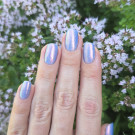 ILNP Bluebell (автор - Axin.ia)
