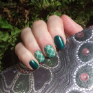 Picture Polish Dragonfly (автор - MouseChe)