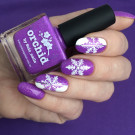 Picture Polish Orchid (автор - lubnina_n)