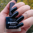 Picture Polish Aquatic (автор - Тусена)