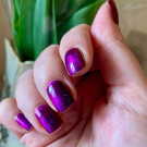 Cirque Colors Paradox (автор - Мария Ле)