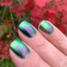 ILNP Mad House (автор - Мария Ле)