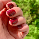 ILNP Merlot (автор - Мария Ле)