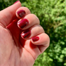 ILNP Merlot (автор - Мария Ле)