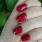 Picture Polish Rose (автор - Stacy)