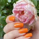 Color Flecks Orange Range (автор - Reddanger)