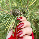 Ginger Polish Hit The Road Jack (автор - Reddanger)