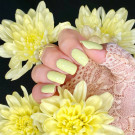 ILNP Lemon Cake (автор - Reddanger)