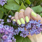 ILNP Lemon Cake (автор - Reddanger)