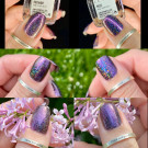 ILNP Pulse (автор - Reddanger)