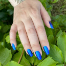 ILNP Shockwave (H) (автор - Reddanger)