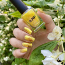 ILNP Sunburst (автор - Reddanger)