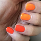 Color Flecks Orange Range (Лак для ногтей Color Flecks Orange Range) (автор - MADAM)
