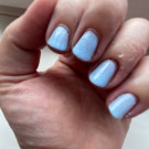 ILNP Bluebird (автор - Ирина К.)