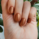 Nailor Пармиджанино (автор - Алина П.)