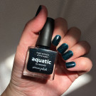 Picture Polish Aquatic (автор - Дина В.)