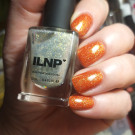 ILNP Horizon (автор - ElenaЮ)