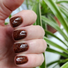 ILNP Spiced Cider (автор - ElenaЮ)