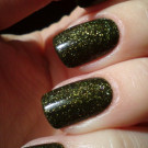 Picture Polish Mossy (Лак для ногтей Picture Polish Mossy) (автор - Елена из Минска)