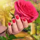 Picture Polish Rose (Лак для ногтей Picture Polish Rose) (автор - Елизавета К.)