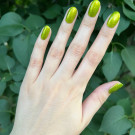 ILNP Willow (автор - mila.krendeleva)