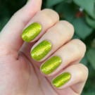ILNP Willow (автор - mila.krendeleva)