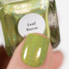 Лак для ногтей Enchanted Polish Leaf Storm