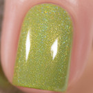 Лак для ногтей Enchanted Polish Leaf Storm