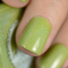 Лак для ногтей Enchanted Polish Leaf Storm