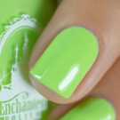 Enchanted Polish Windbreaker