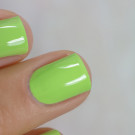 Enchanted Polish Windbreaker