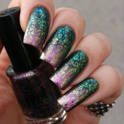 Grattol Lady D-inosaur