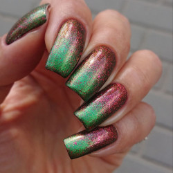 Grattol Red, Forrest, Red!