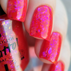 Grattol The Best Gift