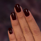 ILNP Dahlia