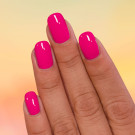 ILNP Daytrip
