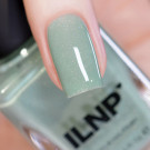 ILNP Dollhouse