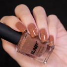 ILNP Ginger Snap