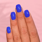 ILNP High Tops