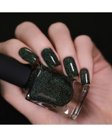 ILNP Holly
