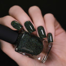 ILNP Holly