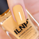 ILNP Honeybee