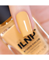 ILNP Honeybee