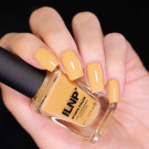 ILNP Honeybee