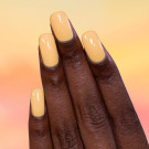 ILNP Honeybee