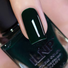 ILNP Ivy