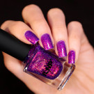 ILNP Kinetic