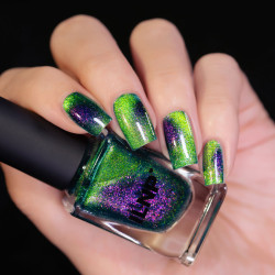 ILNP Mad House