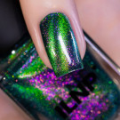 ILNP Mad House
